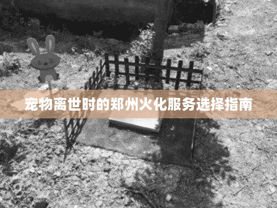 宠物离世时的郑州火化服务选择指南