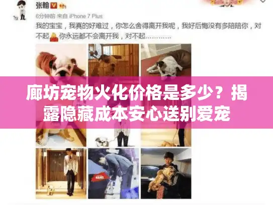 廊坊宠物火化价格是多少？揭露隐藏成本安心送别爱宠