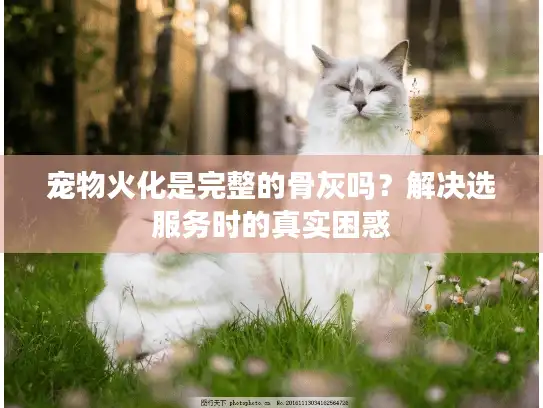 宠物火化是完整的骨灰吗？解决选服务时的真实困惑