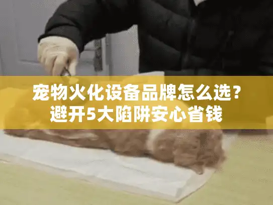 宠物火化设备品牌怎么选？避开5大陷阱安心省钱