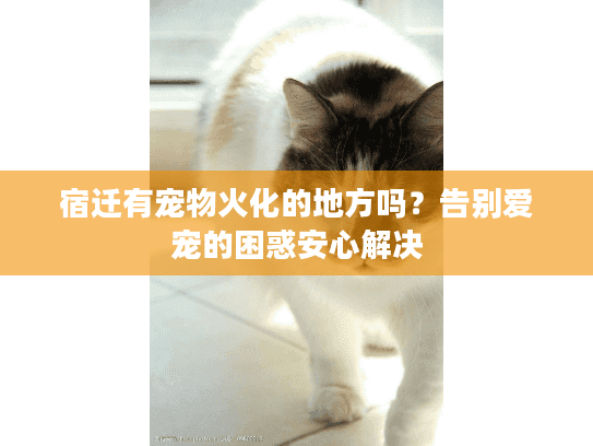 宿迁有宠物火化的地方吗？告别爱宠的困惑安心解决