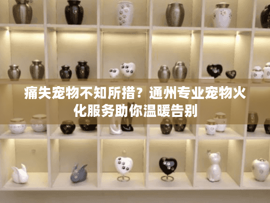 痛失宠物不知所措？通州专业宠物火化服务助你温暖告别