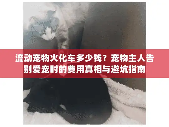 流动宠物火化车多少钱？宠物主人告别爱宠时的费用真相与避坑指南