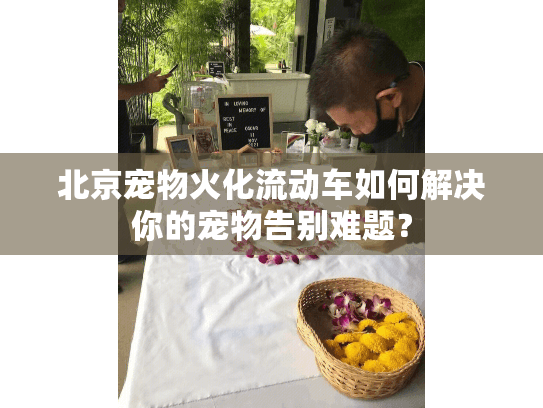 北京宠物火化流动车如何解决你的宠物告别难题？