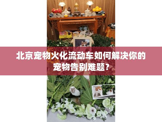 北京宠物火化流动车如何解决你的宠物告别难题？