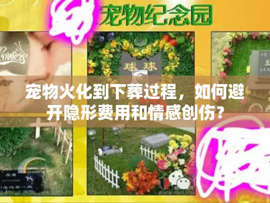 宠物火化到下葬过程，如何避开隐形费用和情感创伤？