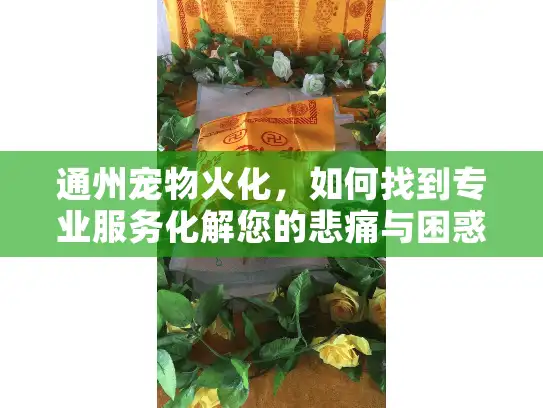 通州宠物火化,如何找到专业服务化解您的悲痛与困惑? 通州宠物火化,如何找到专业服务化解您的悲痛与困惑?