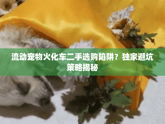 流动宠物火化车二手选购陷阱？独家避坑策略揭秘