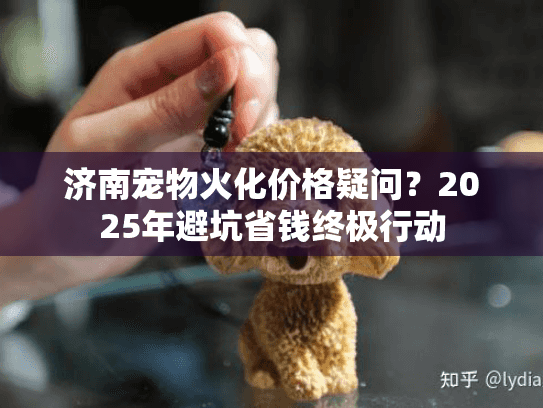 济南宠物火化价格疑问?2025年避坑省钱终极行动 济南宠物火化价格疑问?2025年避坑省钱终极行动