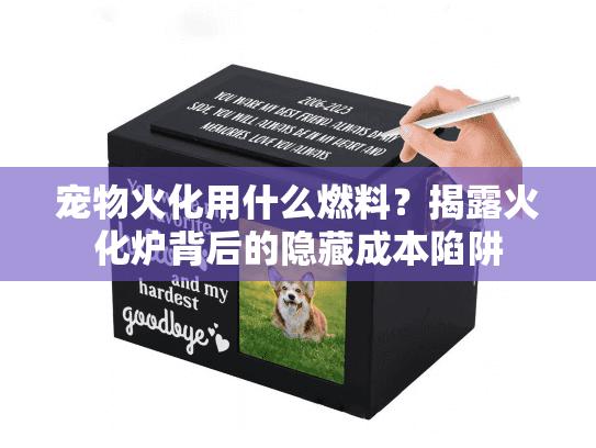 宠物火化用什么燃料?揭露火化炉背后的隐藏成本陷阱 宠物火化用什么燃料?揭露火化炉背后的隐藏成本陷阱
