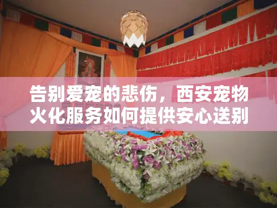 告别爱宠的悲伤,西安宠物火化服务如何提供安心送别? 告别爱宠的悲伤,西安宠物火化服务如何提供安心送别?