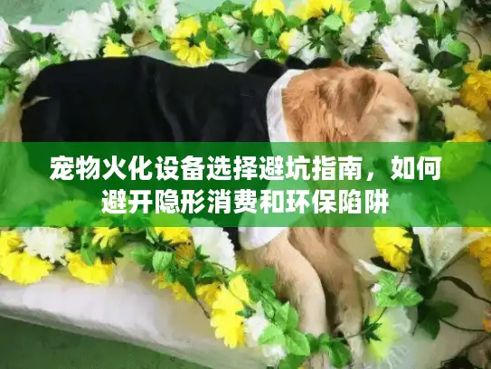 宠物火化设备选择避坑指南，如何避开隐形消费和环保陷阱