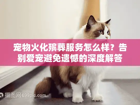 宠物火化殡葬服务怎么样？告别爱宠避免遗憾的深度解答