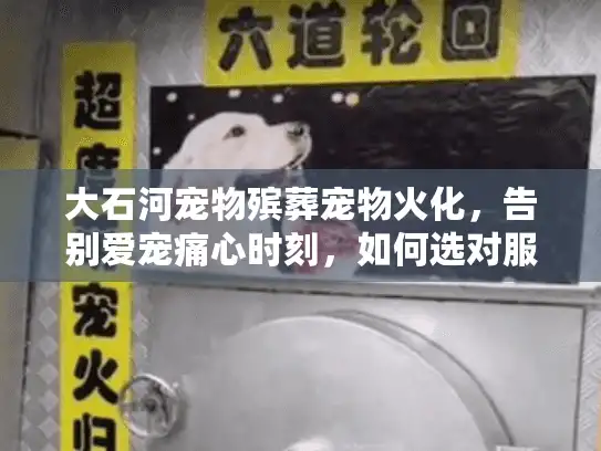 大石河宠物殡葬宠物火化，告别爱宠痛心时刻，如何选对服务避免陷阱？