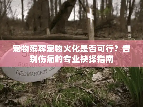 宠物殡葬宠物火化是否可行?告别伤痛的专业抉择指南 宠物殡葬宠物火化是否可行?告别伤痛的专业抉择指南