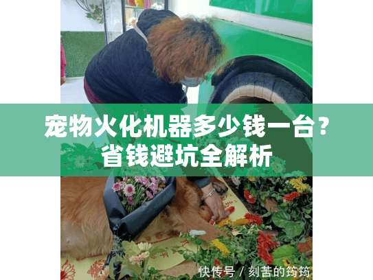 宠物火化机器多少钱一台?省钱避坑全解析 宠物火化机器多少钱一台?省钱避坑全解析