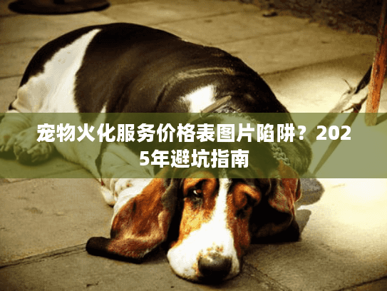 宠物火化服务价格表图片陷阱？2025年避坑指南