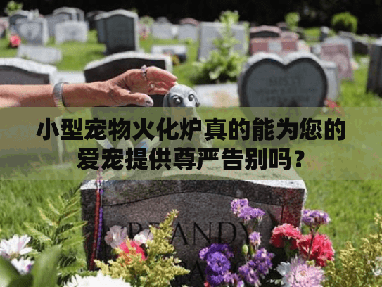 小型宠物火化炉真的能为您的爱宠提供尊严告别吗？