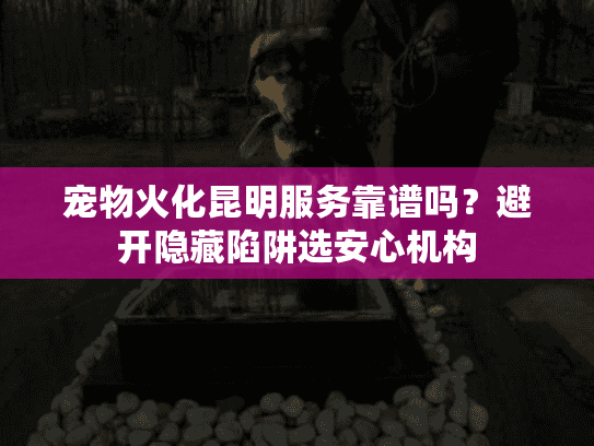 宠物火化昆明服务靠谱吗？避开隐藏陷阱选安心机构