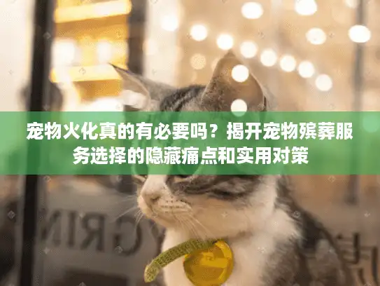 宠物火化真的有必要吗?揭开宠物殡葬服务选择的隐藏痛点和实用对策 宠物火化真的有必要吗?揭开宠物殡葬服务选择的隐藏痛点和实用对策