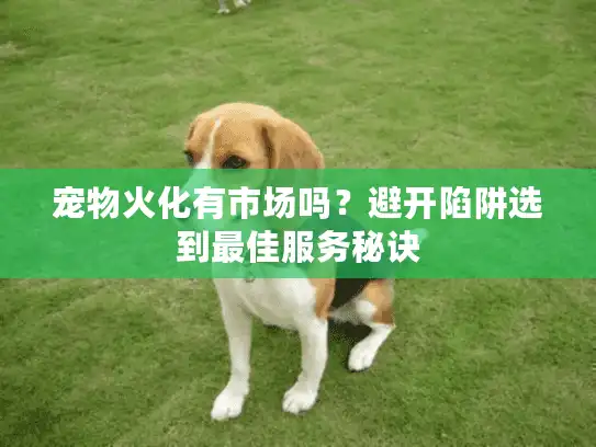 宠物火化有市场吗?避开陷阱选到最佳服务秘诀 宠物火化有市场吗?避开陷阱选到最佳服务秘诀