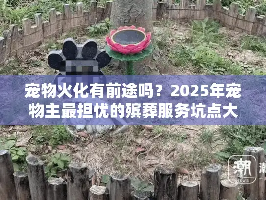 宠物火化有前途吗?2025年宠物主最担忧的殡葬服务坑点大曝光 宠物火化有前途吗?2025年宠物主最担忧的殡葬服务坑点大曝光