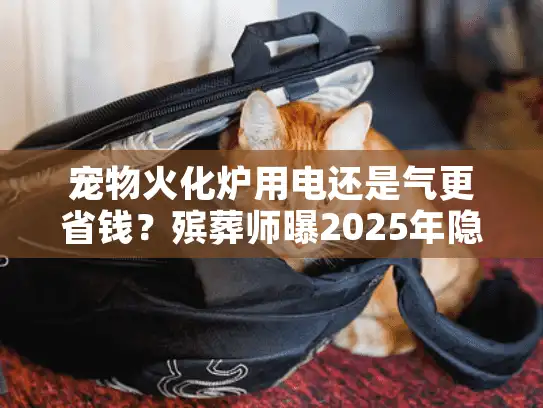 宠物火化炉用电还是气更省钱？殡葬师曝2025年隐藏账单