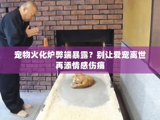 宠物火化炉弊端暴露？别让爱宠离世再添情感伤痛