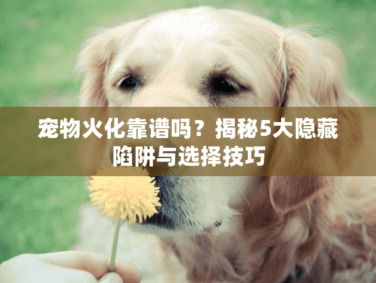 宠物火化靠谱吗?揭秘5大隐藏陷阱与选择技巧 宠物火化靠谱吗?揭秘5大隐藏陷阱与选择技巧