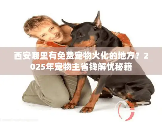 西安哪里有免费宠物火化的地方？2025年宠物主省钱解忧秘籍