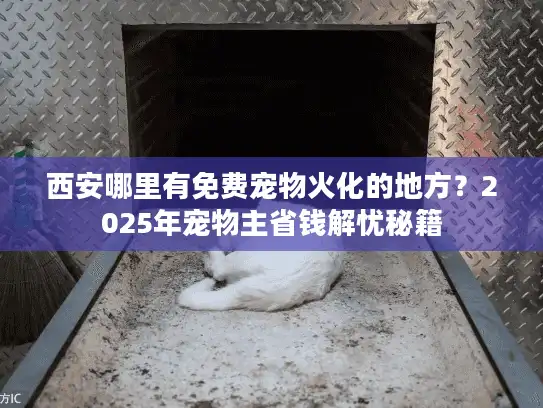 西安哪里有免费宠物火化的地方？2025年宠物主省钱解忧秘籍