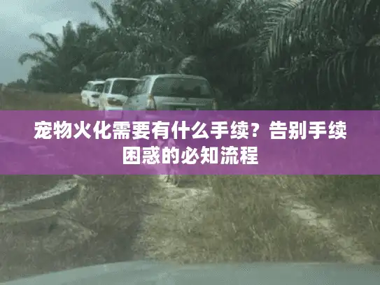 宠物火化需要有什么手续？告别手续困惑的必知流程