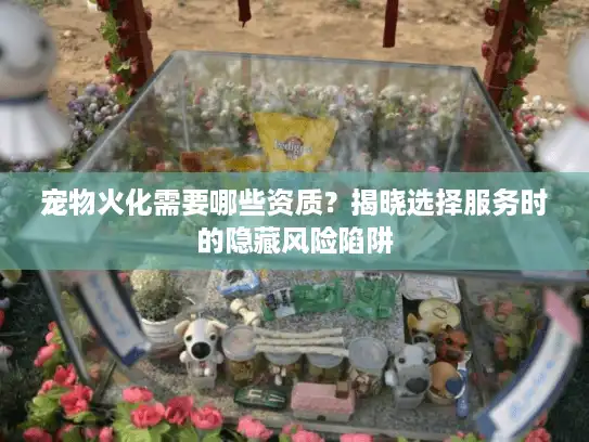宠物火化需要哪些资质？揭晓选择服务时的隐藏风险陷阱
