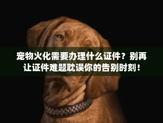 宠物火化需要办理什么证件？别再让证件难题耽误你的告别时刻！