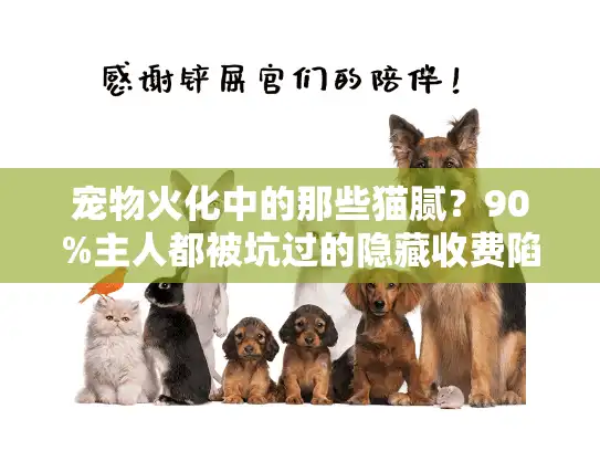 宠物火化中的那些猫腻？90%主人都被坑过的隐藏收费陷阱