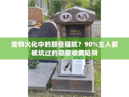 宠物火化中的那些猫腻？90%主人都被坑过的隐藏收费陷阱