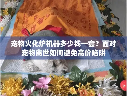 宠物火化炉机器多少钱一套?面对宠物离世如何避免高价陷阱 宠物火化炉机器多少钱一套?面对宠物离世如何避免高价陷阱