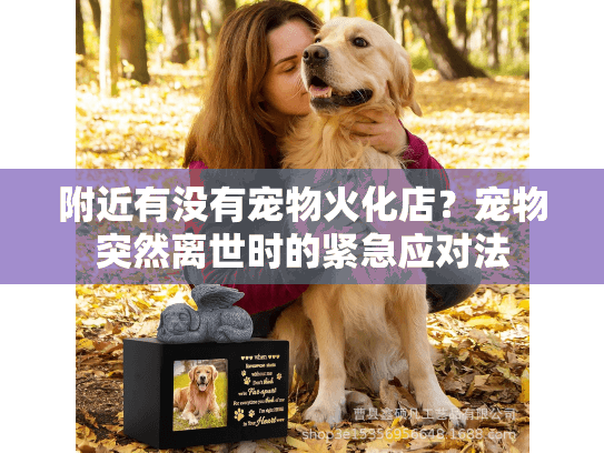 附近有没有宠物火化店？宠物突然离世时的紧急应对法