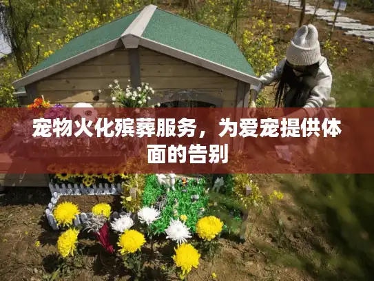 宠物火化殡葬服务，为爱宠提供体面的告别
