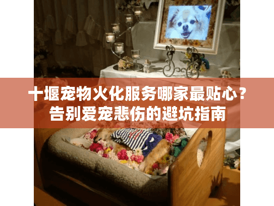 十堰宠物火化服务哪家最贴心?告别爱宠悲伤的避坑指南 十堰宠物火化服务哪家最贴心?告别爱宠悲伤的避坑指南