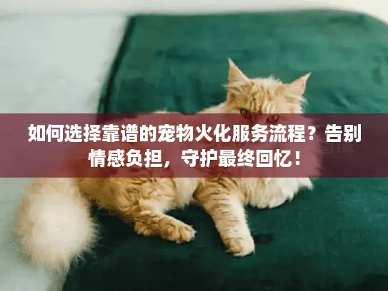 如何选择靠谱的宠物火化服务流程?告别情感负担,守护最终回忆! 如何选择靠谱的宠物火化服务流程?告别情感负担,守护最终回忆!