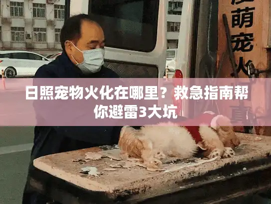 日照宠物火化在哪里?救急指南帮你避雷3大坑 日照宠物火化在哪里?救急指南帮你避雷3大坑