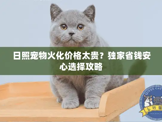 日照宠物火化价格太贵?独家省钱安心选择攻略 日照宠物火化价格太贵?独家省钱安心选择攻略