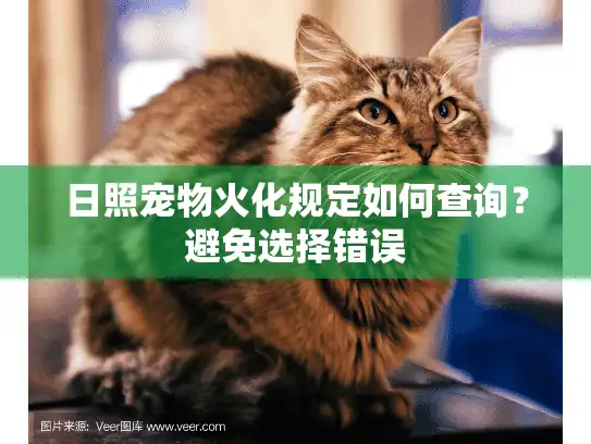 日照宠物火化规定如何查询？避免选择错误