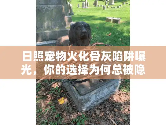 日照宠物火化骨灰陷阱曝光，你的选择为何总被隐形收费坑害？