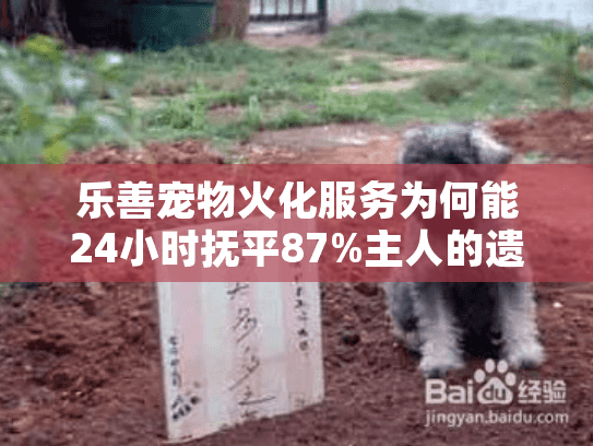 乐善宠物火化服务为何能24小时抚平87%主人的遗憾？