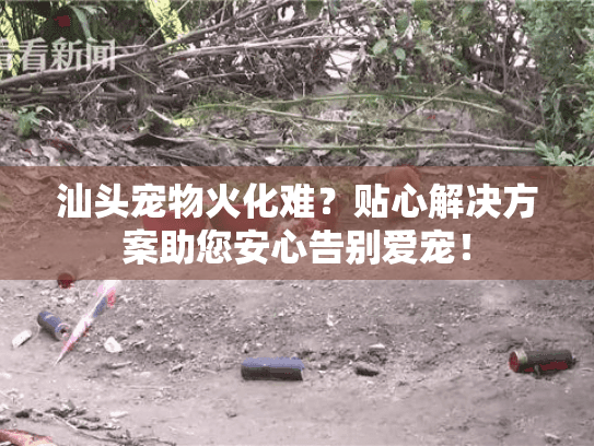 汕头宠物火化难？贴心解决方案助您安心告别爱宠！