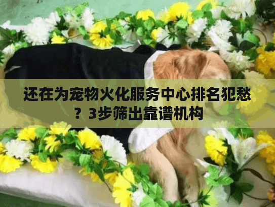 还在为宠物火化服务中心排名犯愁？3步筛出靠谱机构