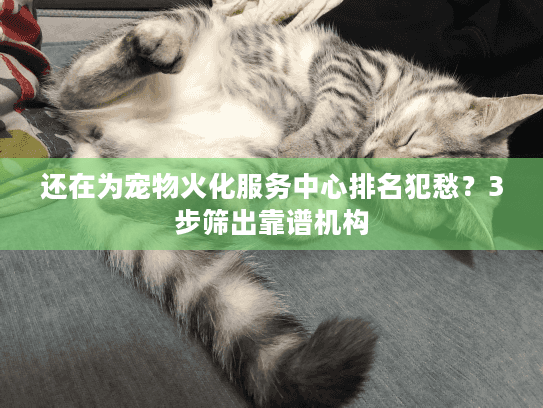 还在为宠物火化服务中心排名犯愁？3步筛出靠谱机构