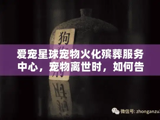 爱宠星球宠物火化殡葬服务中心，宠物离世时，如何告别不留遗憾？